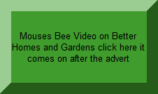Mousie and his Bees